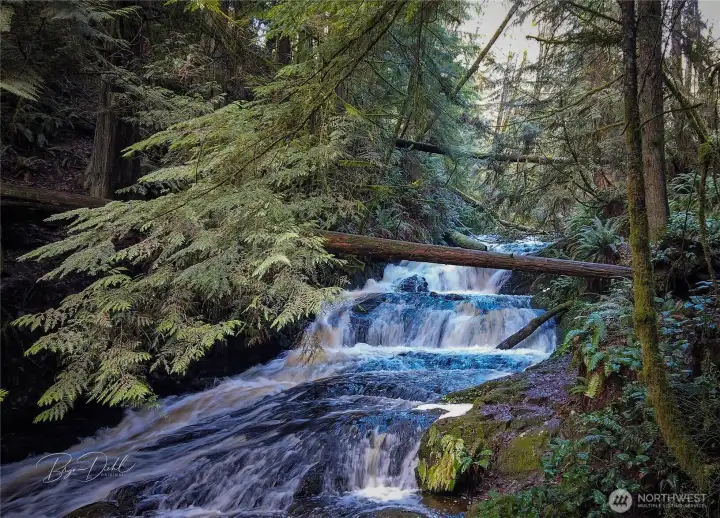 Easy hike to the Port Ludlow Falls