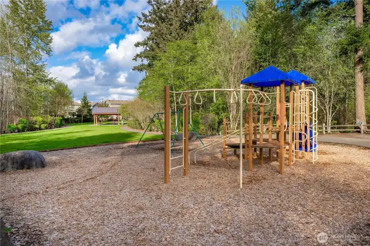 Community Park
