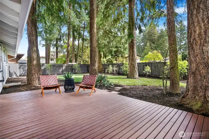 Outdoor large deck