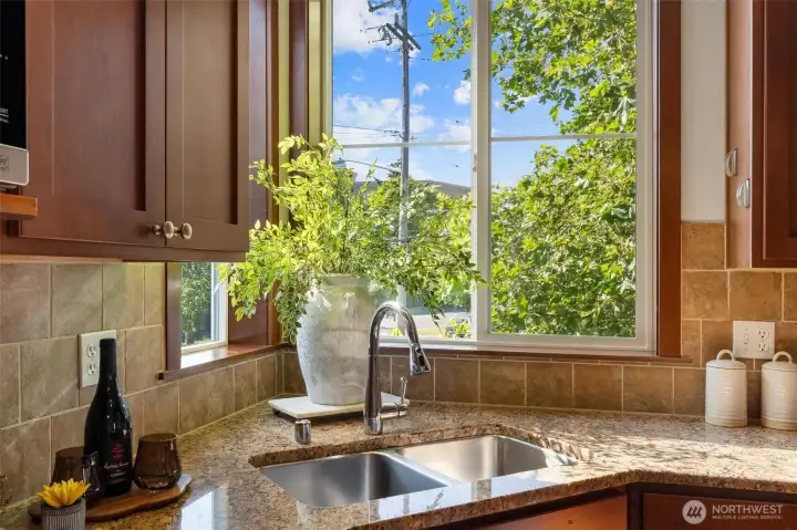 Kitchen sink with window framing leafy neighborhood views.