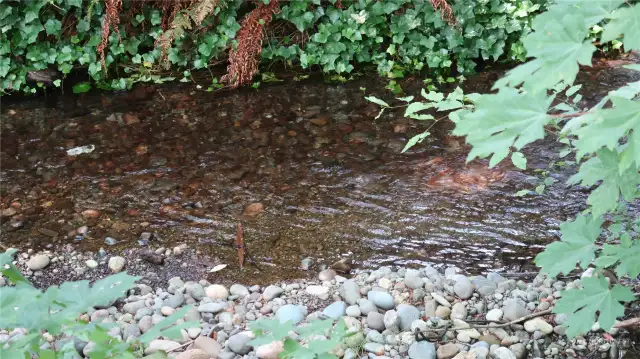 Caldervin Creek to enjoy