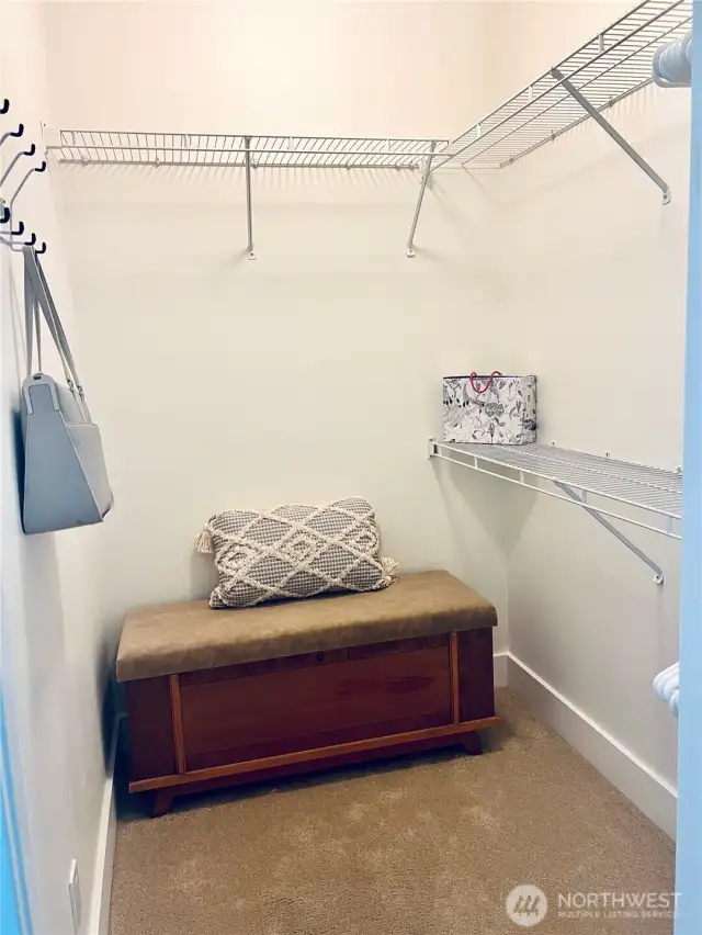 Spacious walk-in closet