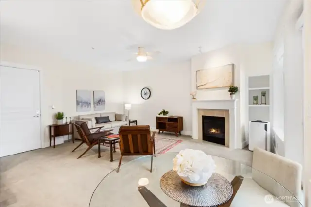 Gas fireplace