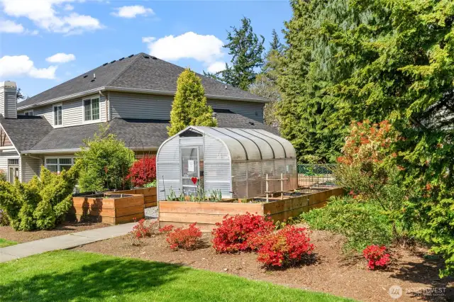 Garden and greenhouse for residents use