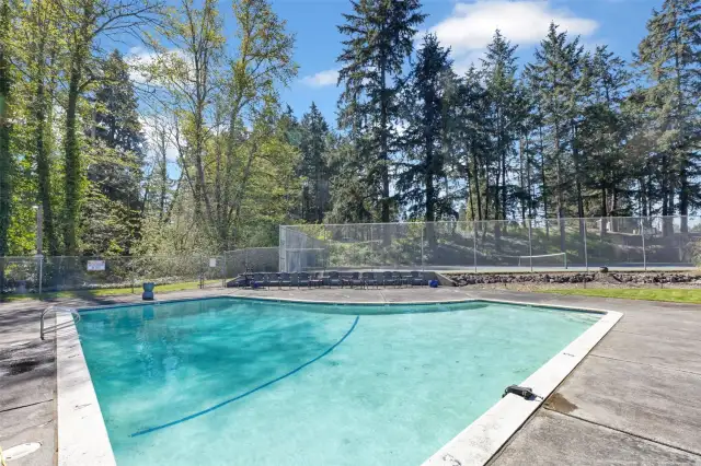 Community Pool