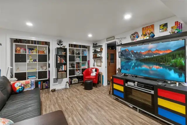 Lower Level Bedroom