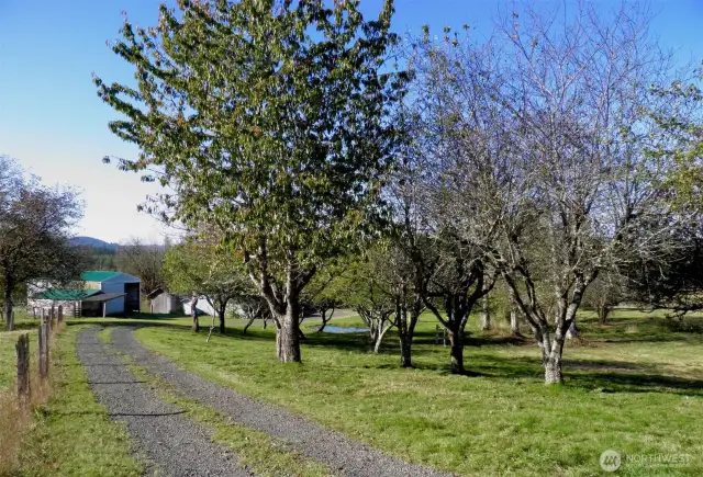 Peaceful driveway to home!
