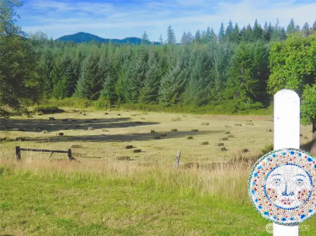 View of one of the places that a herd of elk like to gather!