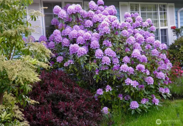 Spring colors!