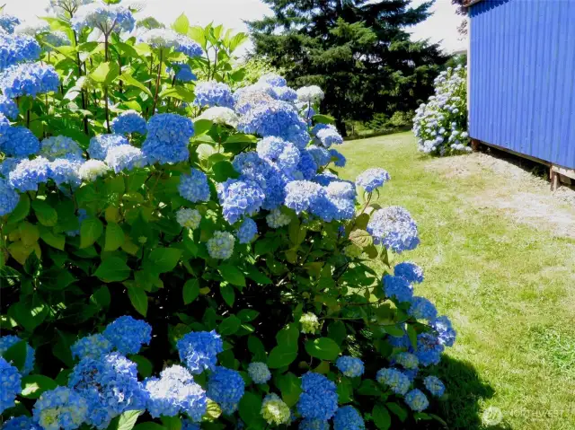 Summer colors!