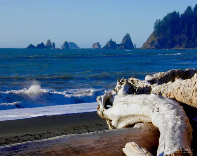 Nearby Rialto Beach!