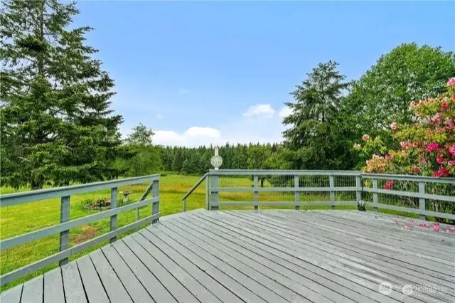 Another deck view