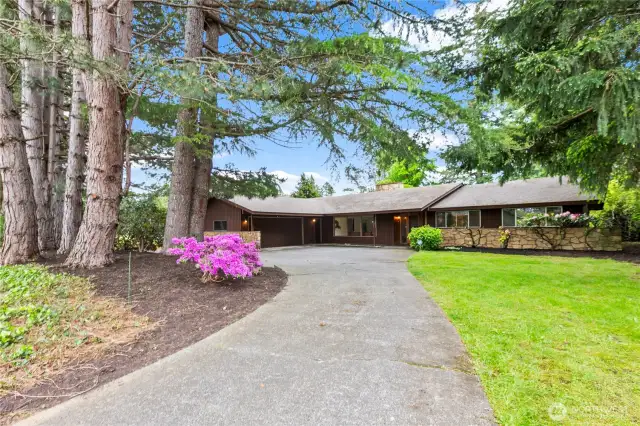 Mid-century modern styling in a beautiful one-level home.