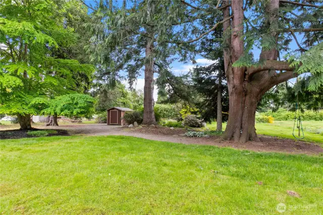 Mature landscaping with beautiful trees
