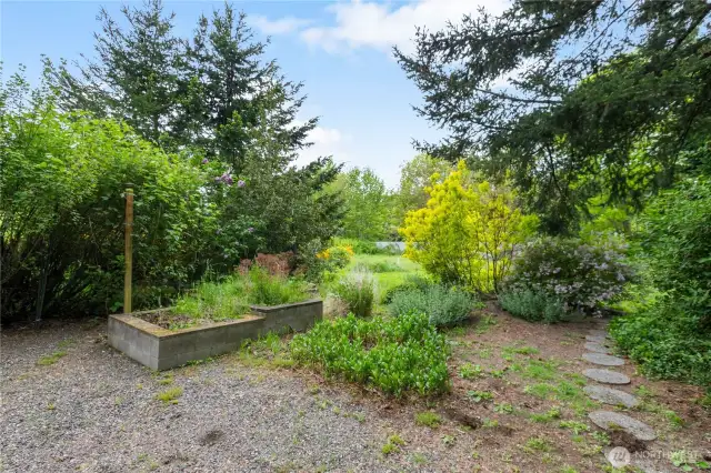 Garden spaces with mature shrubs and natural spaces behind