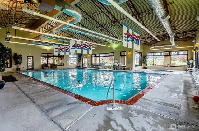Indoor heated saline swimming pool and jacuzzi