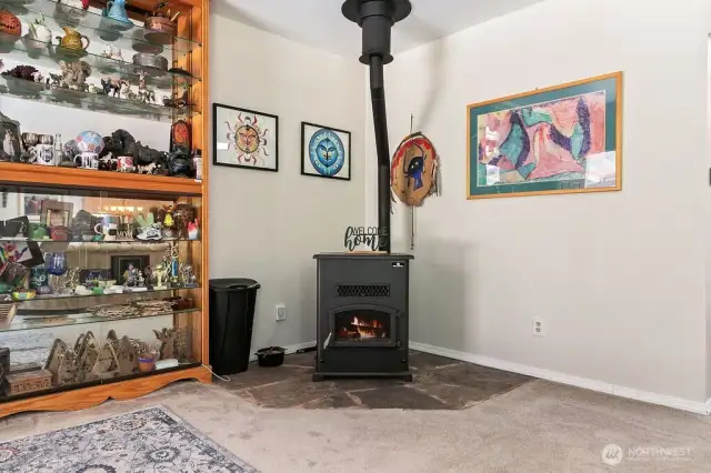 PELLET STOVE-ENTRANCE!    ENTRANCE!