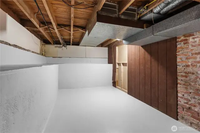 Clean and ample storage area downstairs