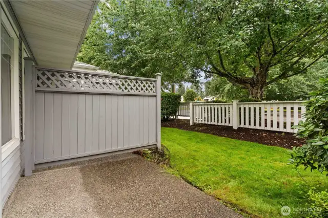 Privacy screens to make your patio time relaxing