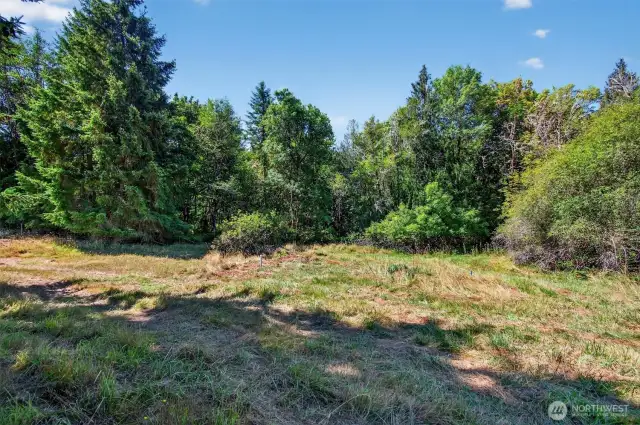 Homesite