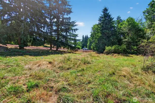 Homesite