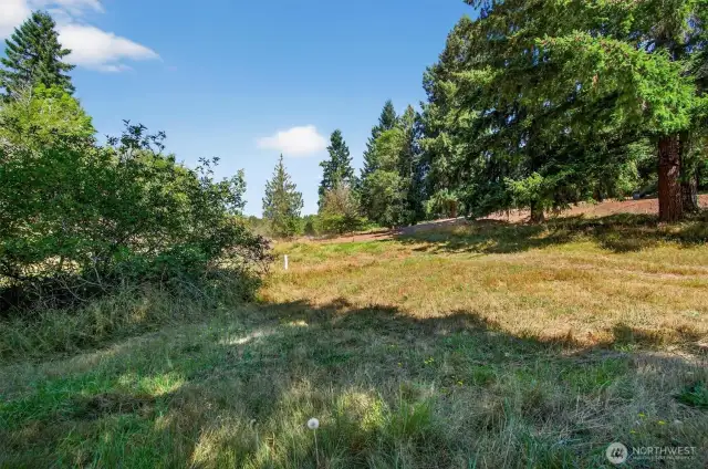 Homesite