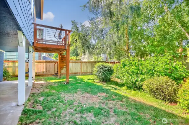 Back yard