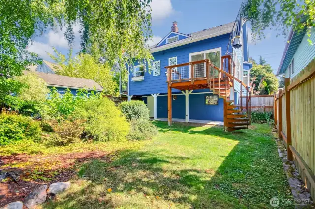 Back yard