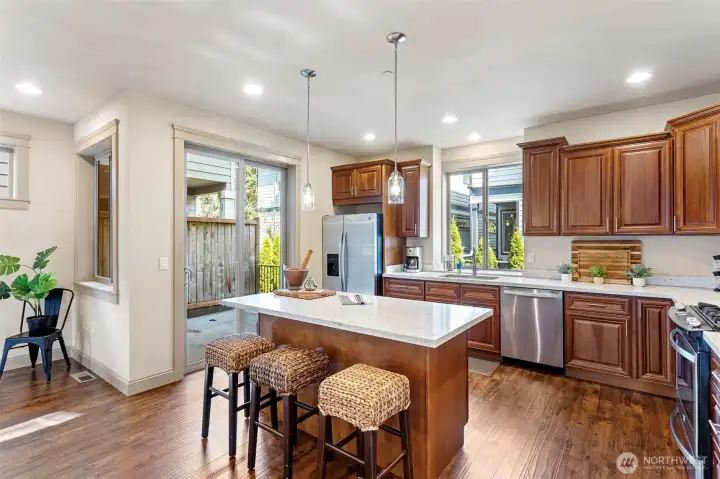 Gorgeous chef's kitchen
