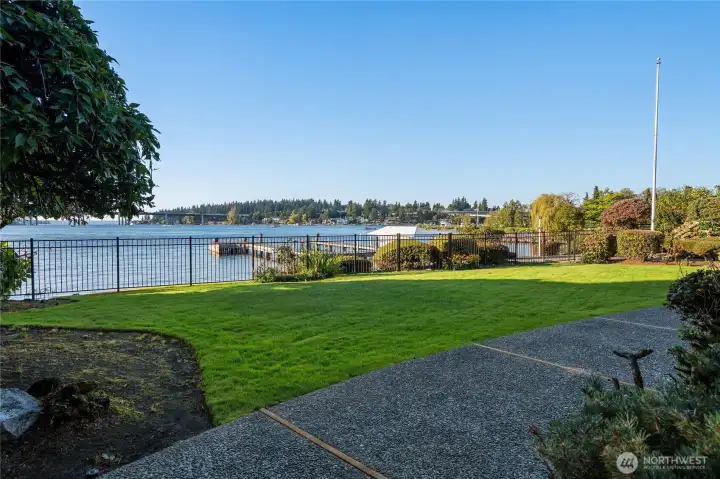 Expansive front yard