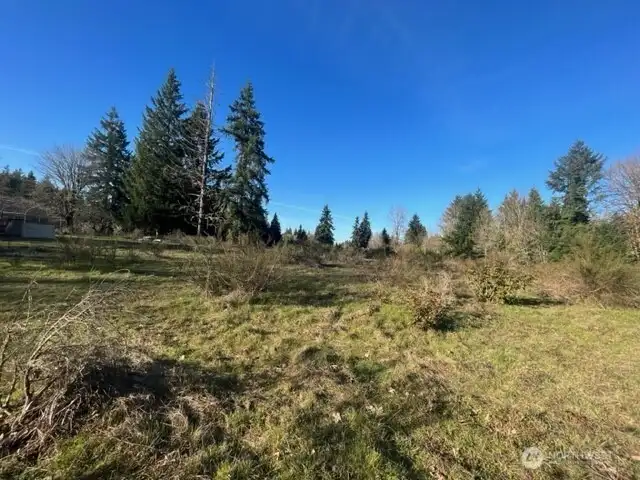 4.89 Acres, Zoned Multi-Family, Nearly flat, a few Firs and Cedars, Fenced, No Wetlands