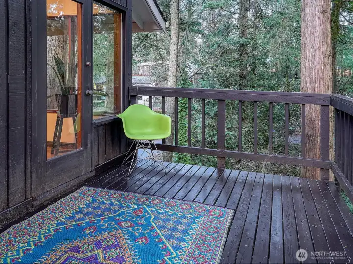 Deck off main level south side