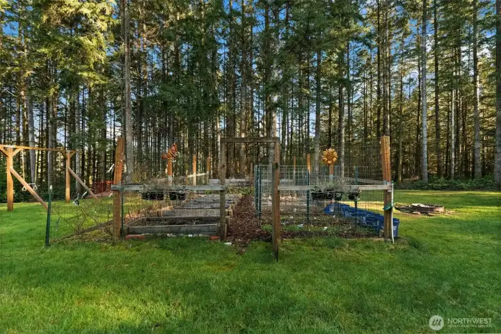 Established blueberry bushes, asparagus, raspberry plants