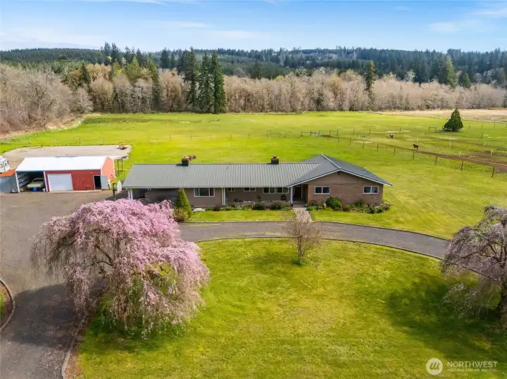 Long private drive leading to a peaceful country setting.