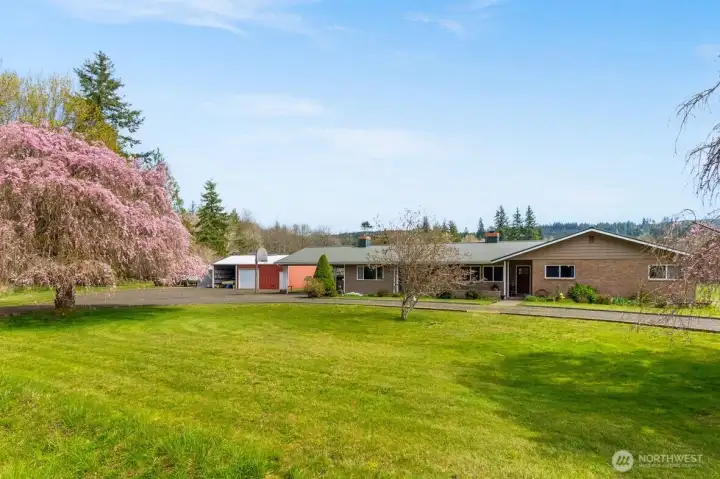 Wide-open grounds with endless potential for outdoor living.