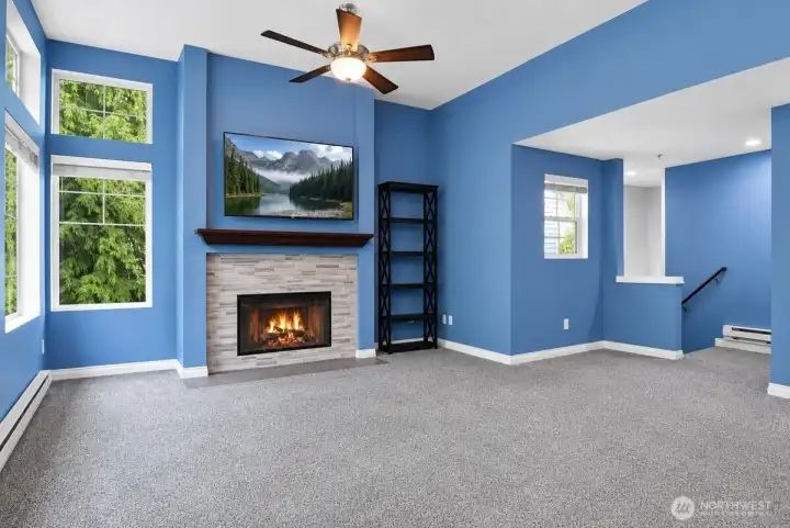 Wood burning fireplace to take the chill off