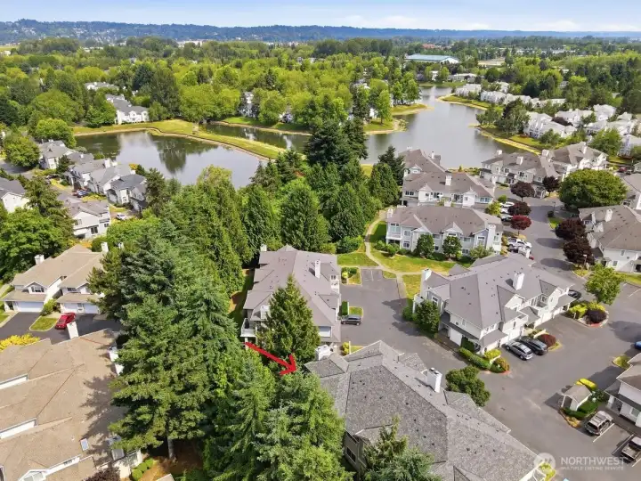 Aerial view of the Lakes with many amenities including strolling trails, workout pullouts, bicycling, golfing nearby, Cedar River trail system, Kent Station shopping, and the Showare Center for entertainment