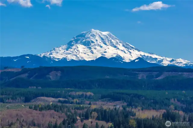 Mt. View