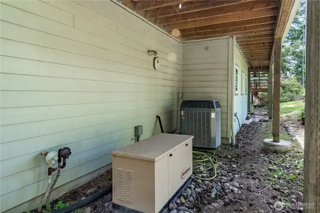 Whole house generator runs on propane.