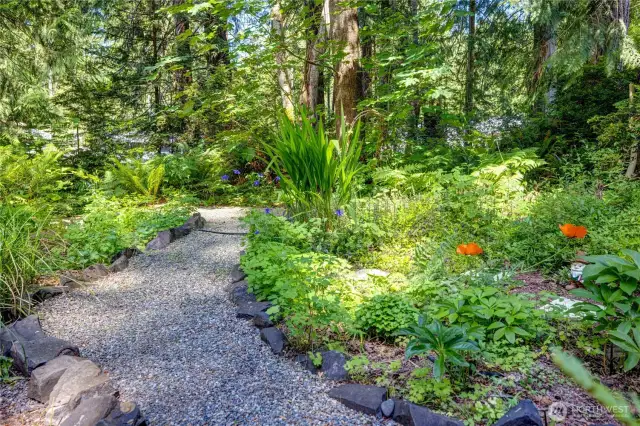 Your garden in the woods!