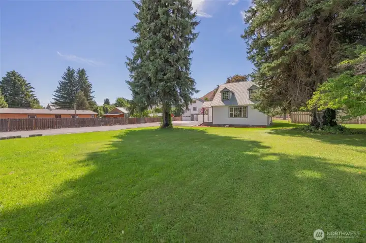Front yard
