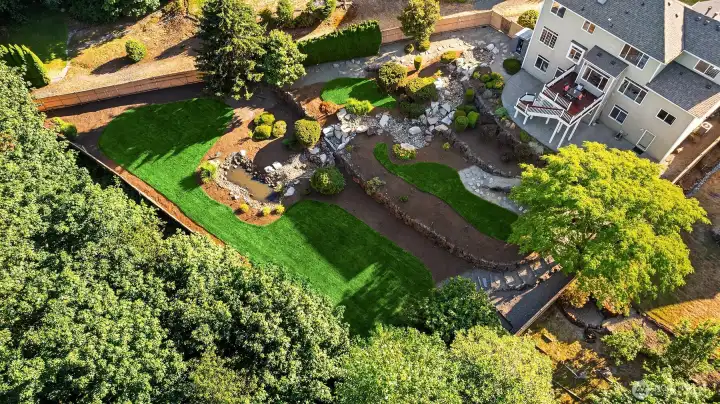 View of backyard.