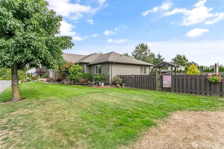 Front yard/side yard
