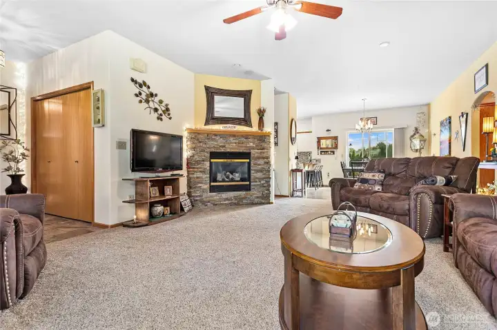 Gas fireplace