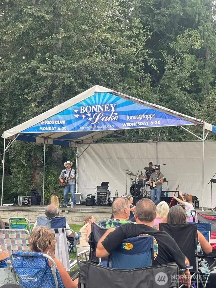 Tunes At Tapps. All summer long at Allen Yorke Park