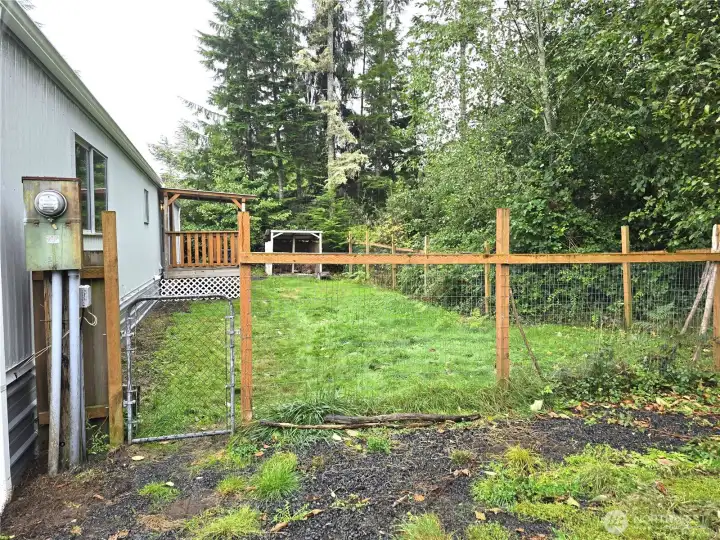 Fenced backyard