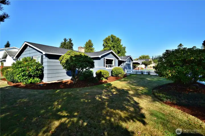 Front Yard