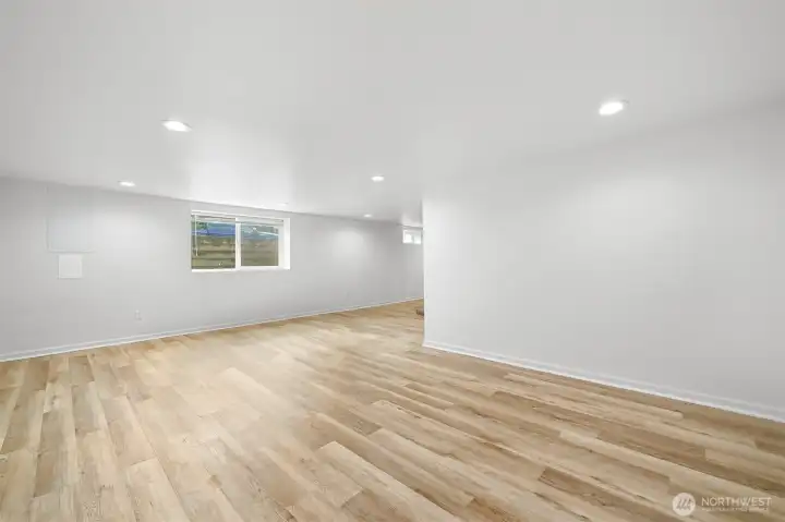 Basement Family / Rec Room