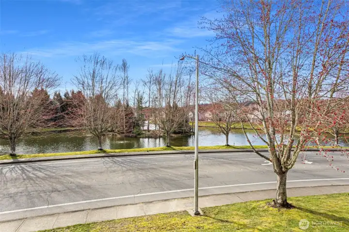 Your morning and evening walks have never been so peaceful.