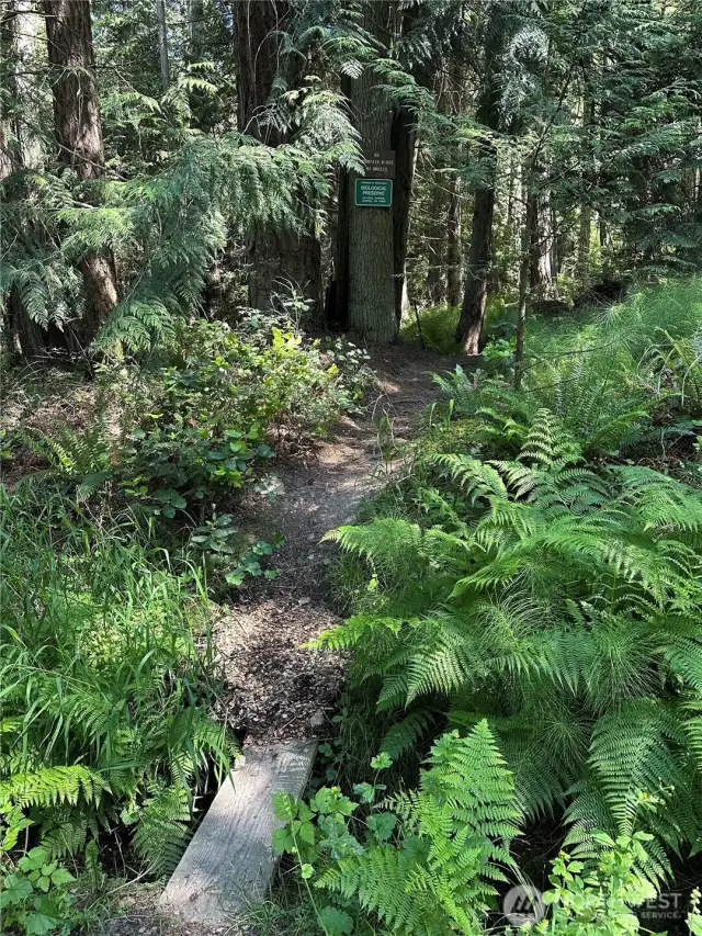 University of WA 1.9 mile trail head just 2 lots away at the end of the road!
